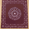 aipankari product (2)