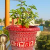 Aipan Tulsi Pot