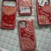 aipan mobile cover (3)