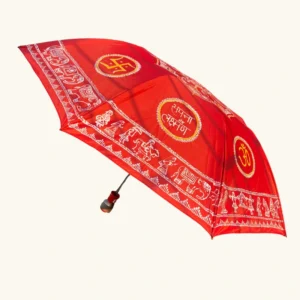Aipan umbrella 20260501 235951 0001
