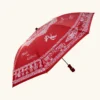 Aipan umbrella 20260501 235951 0002