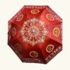 Aipan umbrella 20260501 235951 0003