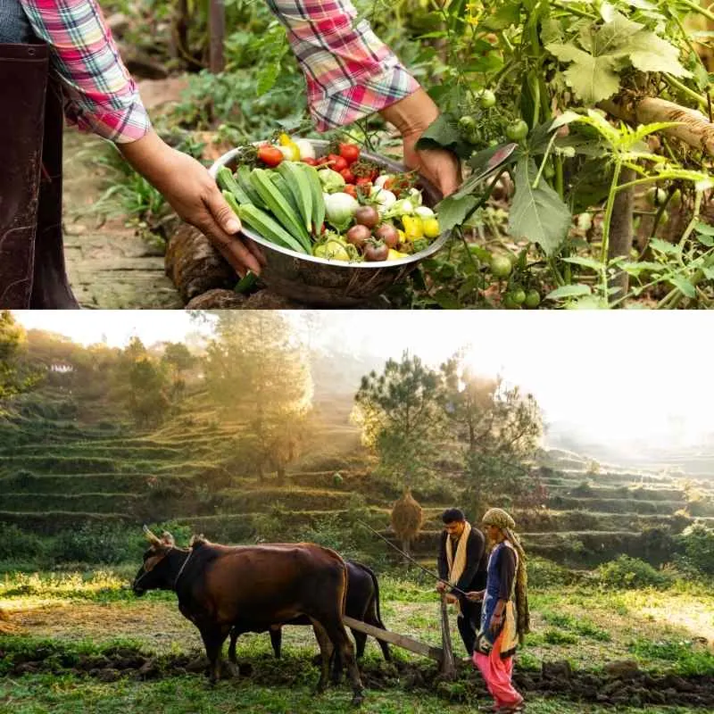 Business Ideas for Uttarakhand (8)